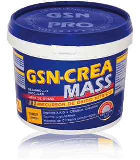 GSN CREA MASS 2000GR LIMON          G.S.N.
