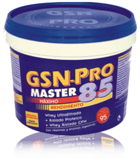 GSN PRO MASTER-85 1KG CHOCOLATE                 G.S.N.