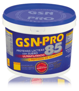 GSN PROT.85  CHOCO 1KG G.S.N